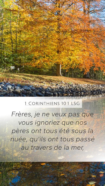 1 Corinthiens 10:1 LSG Bible Verse Image