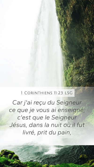 1 Corinthiens 11:23 LSG Bible Verse Image