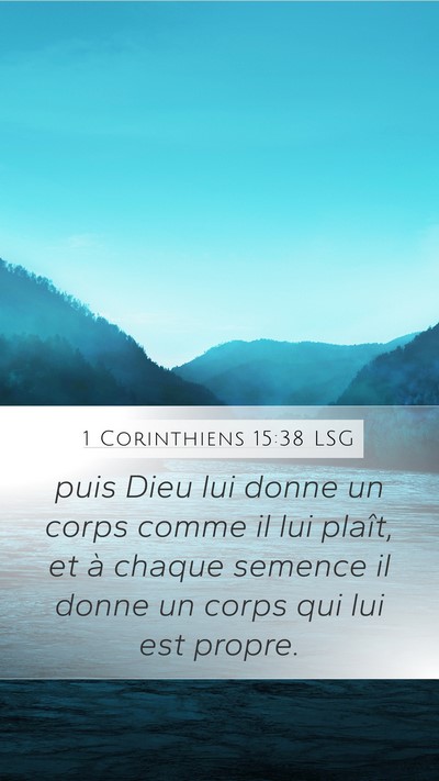1 Corinthiens 15:38 LSG Mobile Phone Wallpaper - puis Dieu lui donne un corps comme il lui plaît, - Mobile Bible Verse Wallpaper