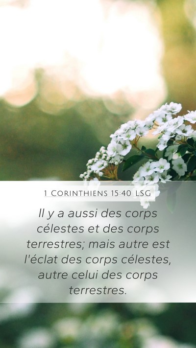 1 Corinthiens 15:40 LSG Bible Verse Image