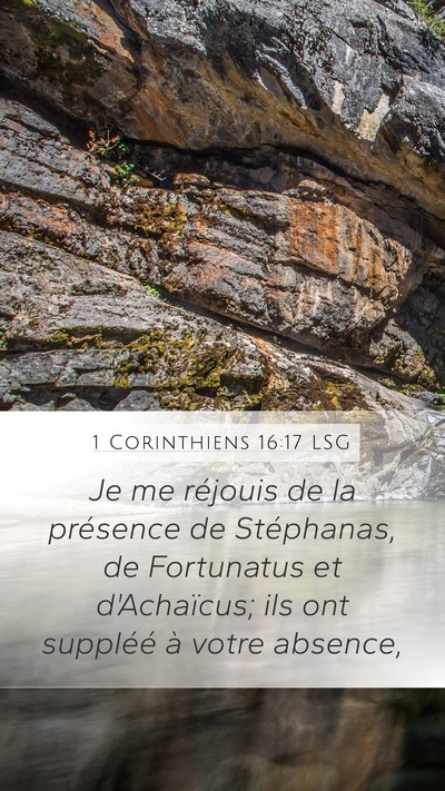 1 Corinthiens 16:17 LSG Bible Verse Image