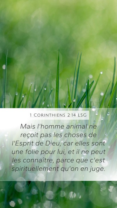1 Corinthiens 2:14 LSG Bible Verse Image
