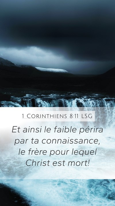 1 Corinthiens 8:11 LSG Bible Verse Image
