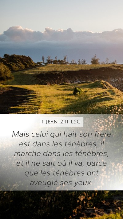 1 Jean 2:11 LSG Bible Verse Image