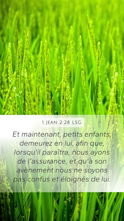 1 Jean 2:28 LSG Bible Verse Image