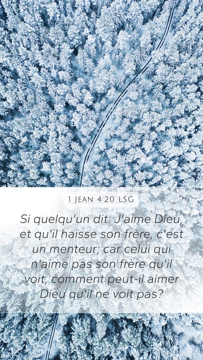1 Jean 4:20 LSG Bible Verse Image