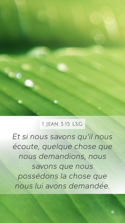 1 Jean 5:15 LSG Bible Verse Image
