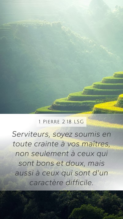 1 Pierre 2:18 LSG Bible Verse Image