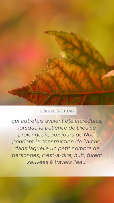 1 Pierre 3:20 LSG Bible Verse Image