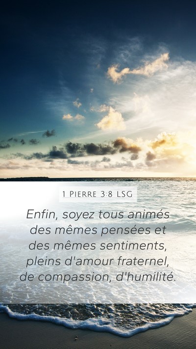1 Pierre 3:8 LSG Bible Verse Image