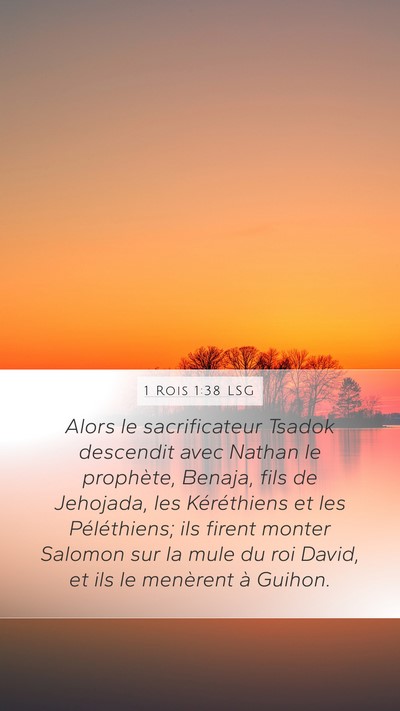 1 Rois 1:38 LSG Bible Verse Image