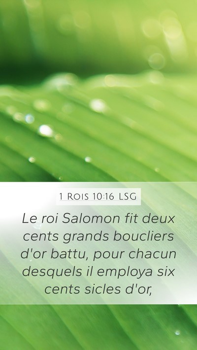 1 Rois 10:16 LSG Bible Verse Image