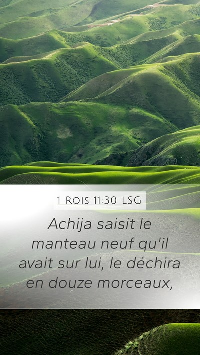 1 Rois 11:30 LSG Bible Verse Image