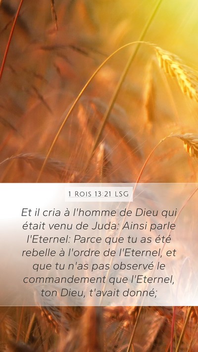 1 Rois 13:21 LSG Bible Verse Image