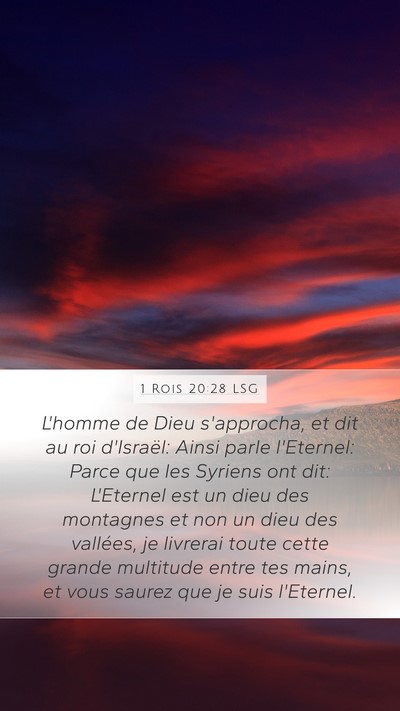 1 Rois 20:28 LSG Bible Verse Image