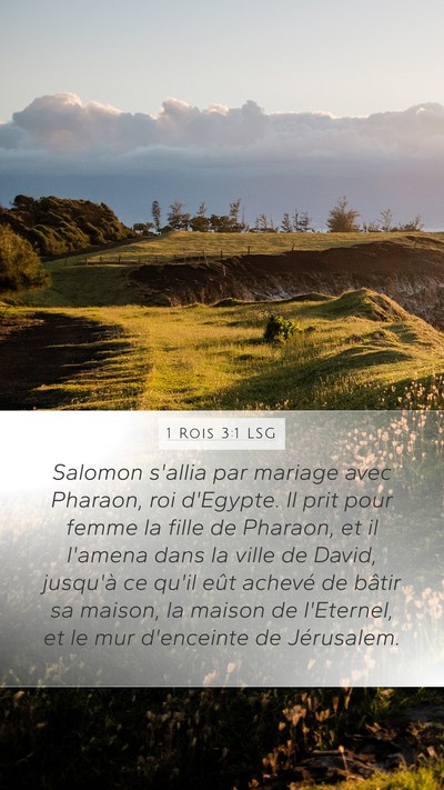 1 Rois 3:1 LSG Bible Verse Image