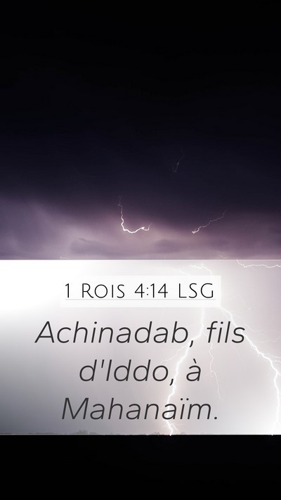 1 Rois 4:14 LSG Mobile Phone Wallpaper - Achinadab, fils d'Iddo, à - Mobile Bible Verse Wallpaper