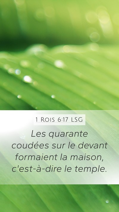 1 Rois 6:17 LSG Mobile Phone Wallpaper - Les quarante coudées sur le devant formaient la - Mobile Bible Verse Wallpaper