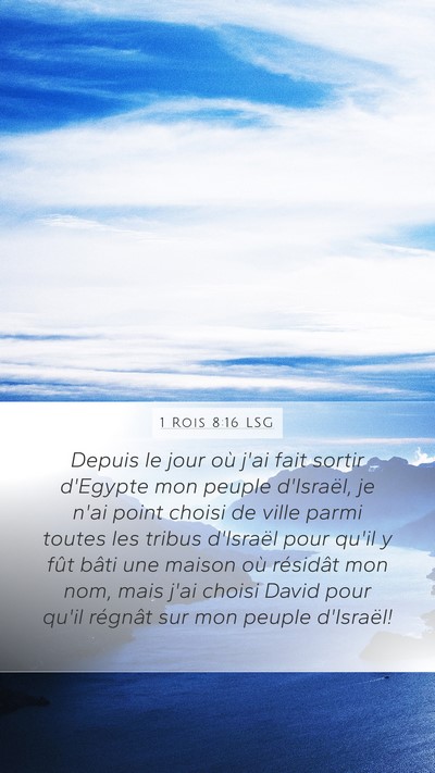 1 Rois 8:16 LSG Bible Verse Image