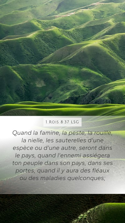 1 Rois 8:37 LSG Bible Verse Image