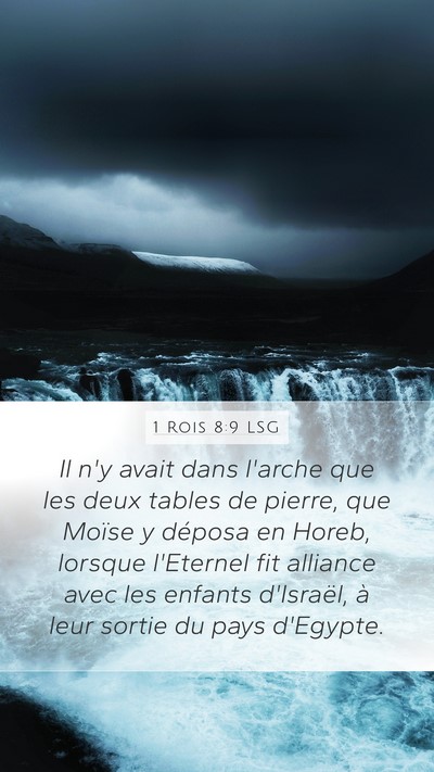 1 Rois 8:9 LSG Bible Verse Image