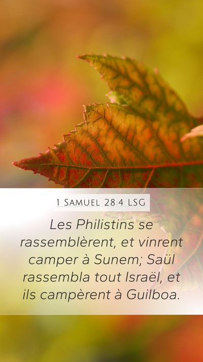 1 Samuel 28:4 LSG Bible Verse Image