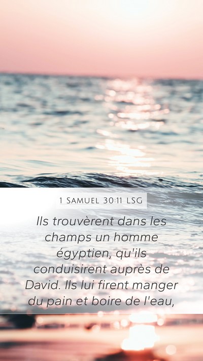 1 Samuel 30:11 LSG Bible Verse Image