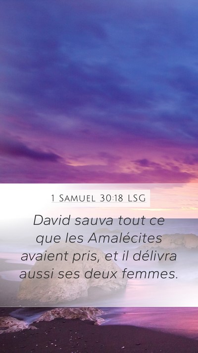1 Samuel 30:18 LSG Bible Verse Image