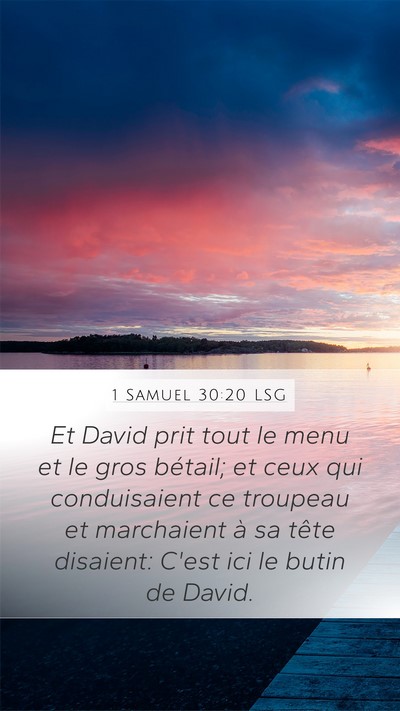1 Samuel 30:20 LSG Mobile Phone Wallpaper - Et David prit tout le menu et le gros bétail; et - Mobile Bible Verse Wallpaper