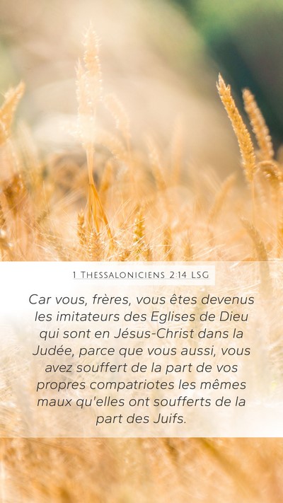1 Thessaloniciens 2:14 LSG Bible Verse Image