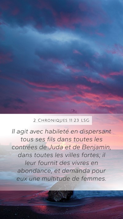 2 Chroniques 11:23 LSG Bible Verse Image