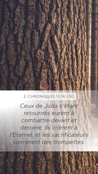 2 Chroniques 13:14 LSG Bible Verse Image