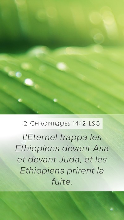 2 Chroniques 14:12 LSG Bible Verse Image