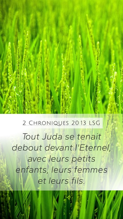 2 Chroniques 20:13 LSG Bible Verse Image