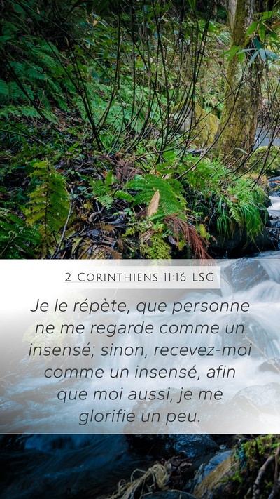 2 Corinthiens 11:16 LSG Bible Verse Image