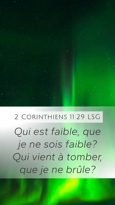 2 Corinthiens 11:29 LSG Bible Verse Image