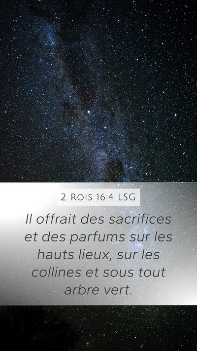 2 Rois 16:4 LSG Bible Verse Image
