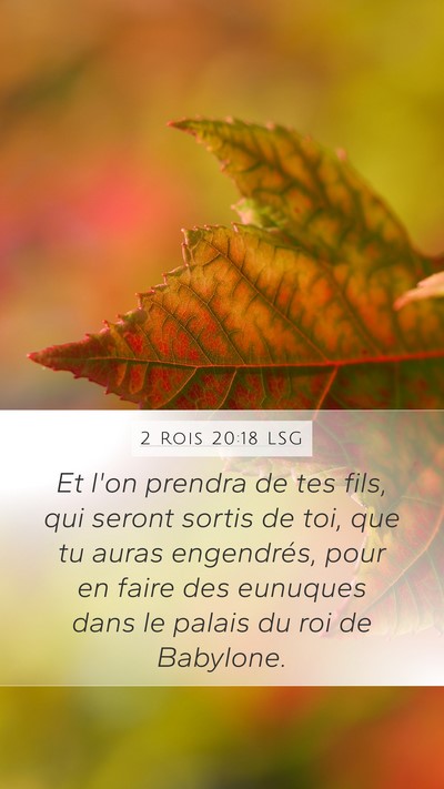 2 Rois 20:18 LSG Bible Verse Image
