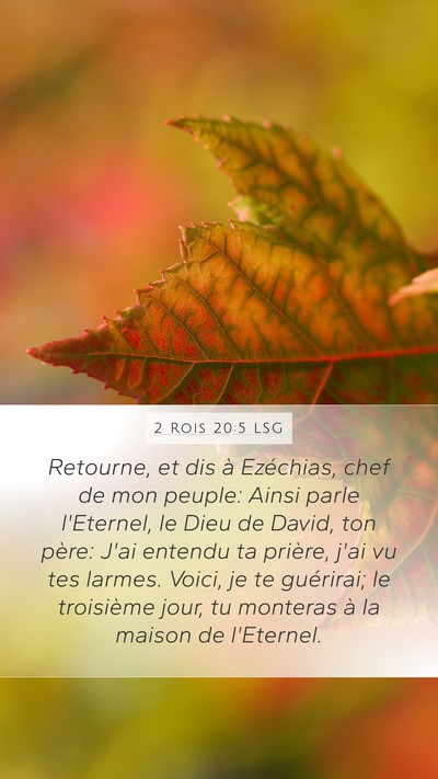 2 Rois 20:5 LSG Bible Verse Image