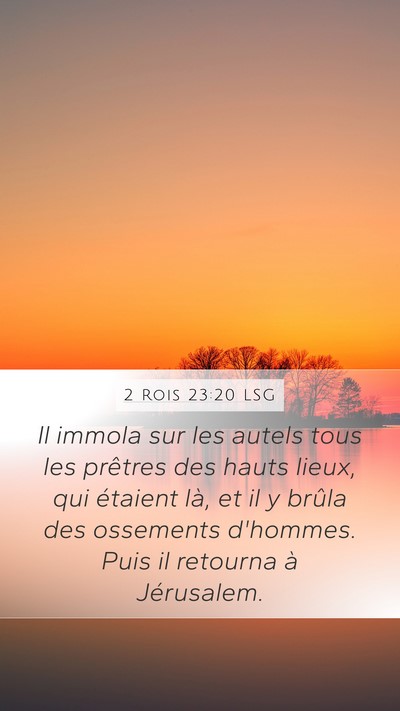 2 Rois 23:20 LSG Bible Verse Image