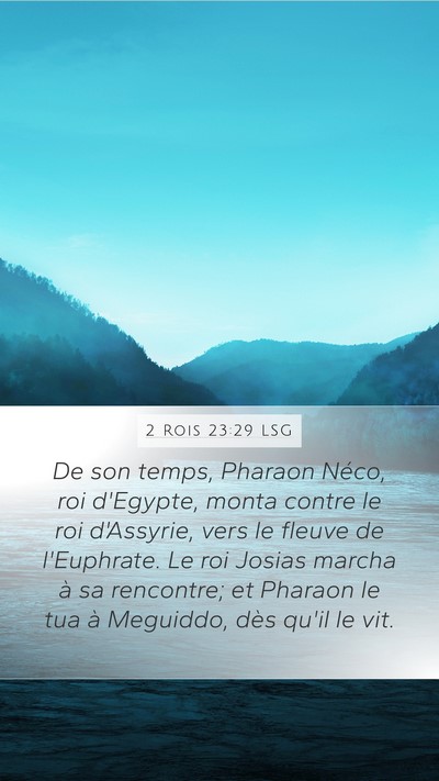 2 Rois 23:29 LSG Bible Verse Image