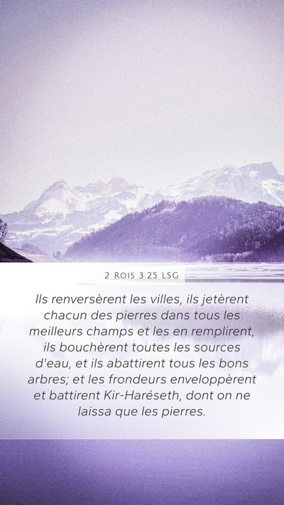 2 Rois 3:25 LSG Bible Verse Image