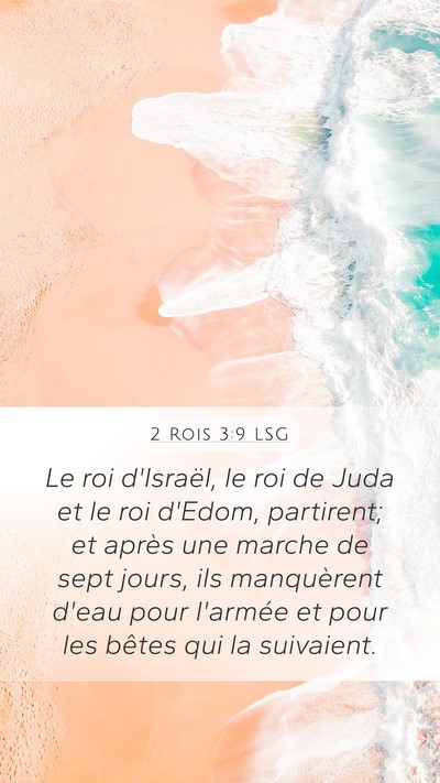 2 Rois 3:9 LSG Bible Verse Image