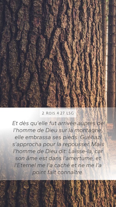 2 Rois 4:27 LSG Bible Verse Image