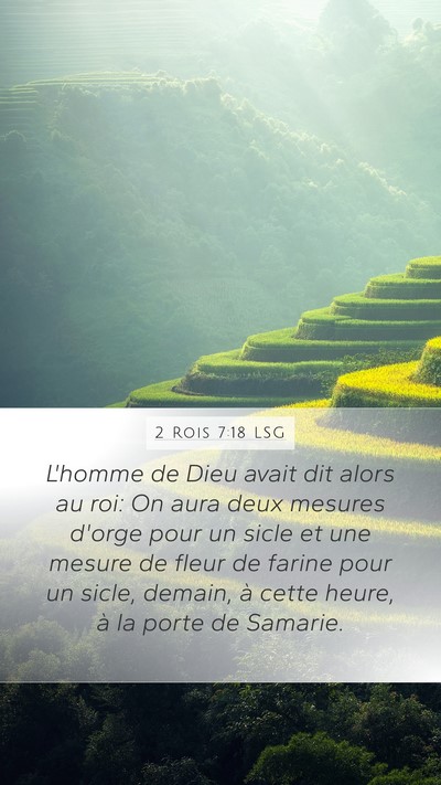 2 Rois 7:18 LSG Bible Verse Image