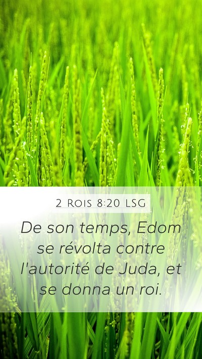 2 Rois 8:20 LSG Bible Verse Image
