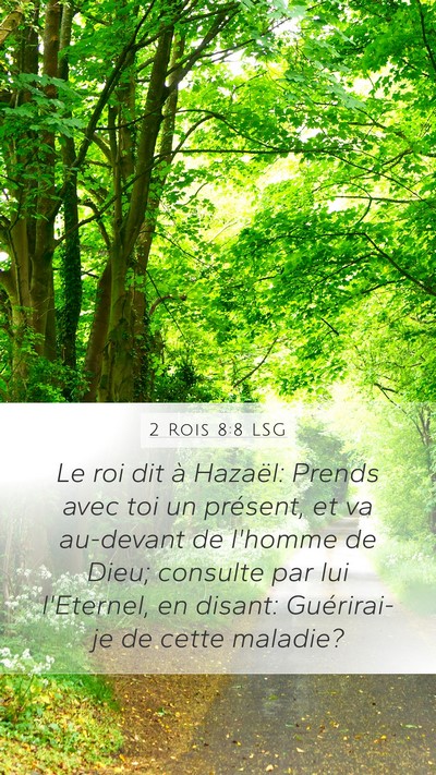 2 Rois 8:8 LSG Bible Verse Image