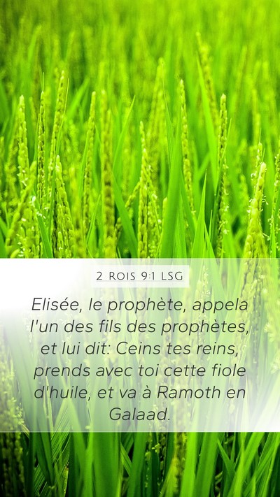 2 Rois 9:1 LSG Bible Verse Image