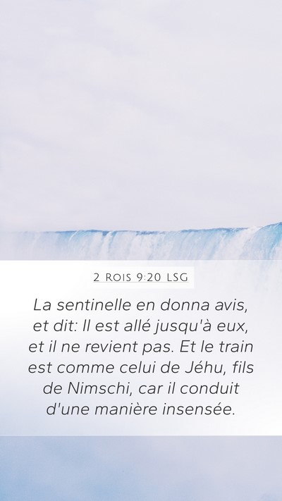 2 Rois 9:20 LSG Bible Verse Image
