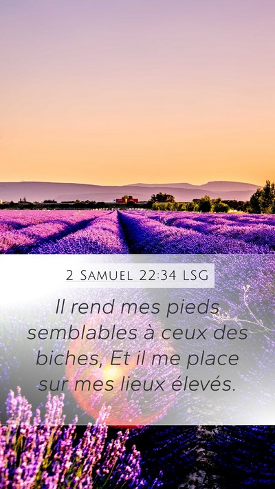 2 Samuel 22:34 LSG Bible Verse Image